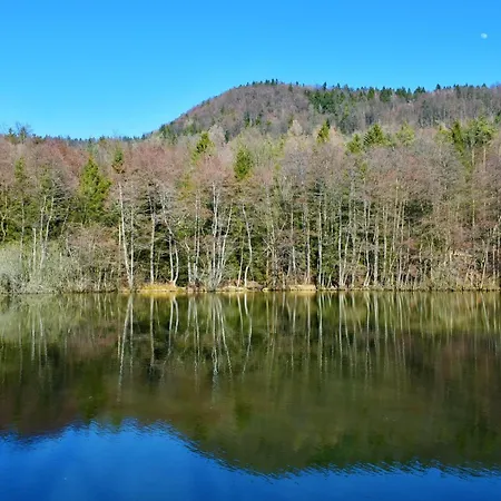 Mt Krvavec Story - Happy