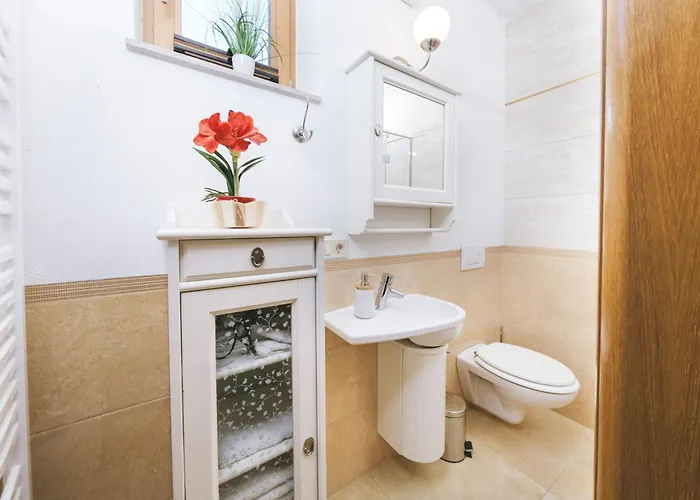 Mt Krvavec Story - Happy *